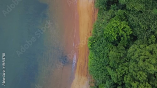 Exotic white sandy beach in Madagascar, lined with palm trees. Aerial view drone flying over.