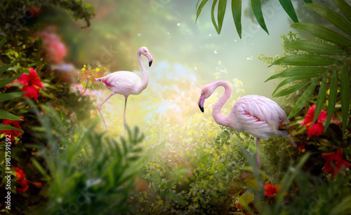 Pink flamingo couple in fantasy tropical jungle garden, red hibiscus flower and exotic greenery in misty fairy tale rainforest, two birds and plants in tropics nature background, dreamy atmosphere.