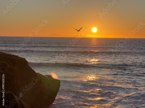 A pelican glides past a sun-drenched rock formation during a vibrant La Jolla sunset.