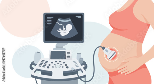 Pregnant Woman Undergoing Ultrasound Scan Showing Baby Fetus on Screen