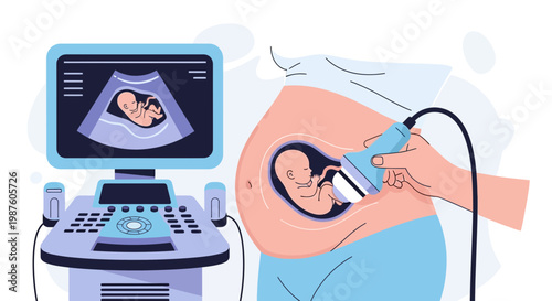 Pregnant Woman Undergoing Ultrasound Scan, Baby Visible on Screen and in Womb