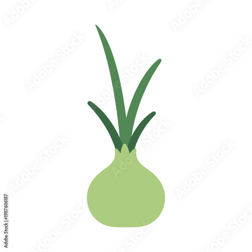 Green onion sprout growing from a light green bulb, isolated on white background