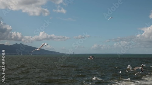 Wide shot of seagulls gliding over the ocean waves with mountains and white clouds in the background. Beautiful coastal scenery representing freedom, nature, and peaceful summer days.
