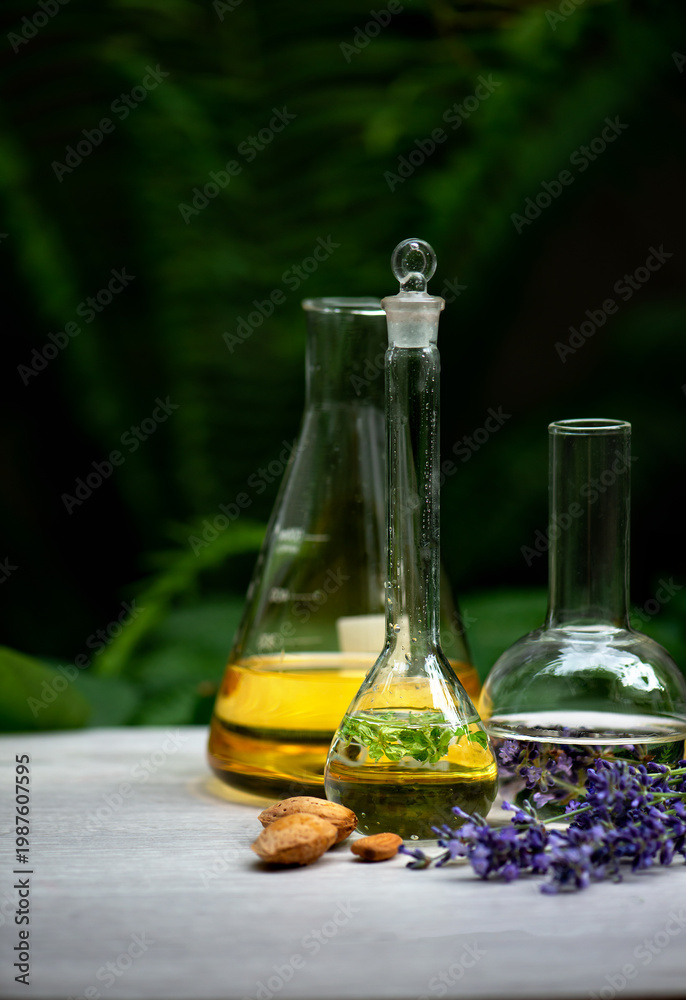 custom made wallpaper toronto digitalSet of the bottles and flasks with essence fragrance cosmetic herbal mint and lavender oils with almonds on desk. Spa and wellness setting, relax and treatment therapy. Selective focus