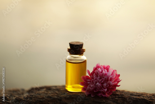 Oil bottle. Spa concept. Oil. Wellness. Wooden table. Aroma. 