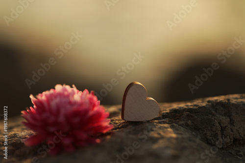 Love concept. Wooden heart. Love photo. Decor. Background. Beauty. Celebration. 
