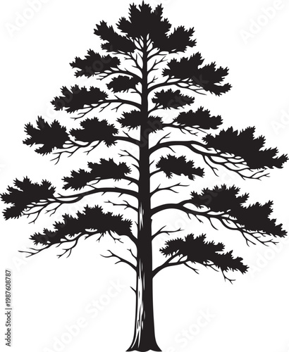 Detailed black and white illustration of a tall pine tree with intricate branches Vector, illustration