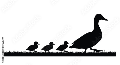 A mother duck leads her ducklings across grassy terrain silhouette