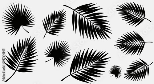 Collection of palm tree leaves silhouettes.