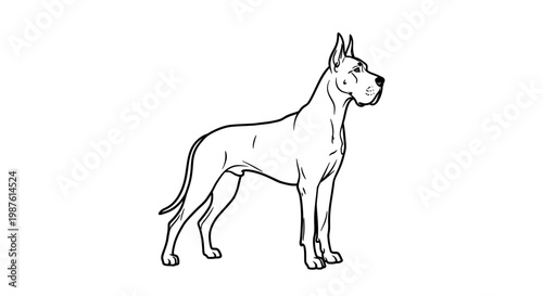 A Dignified Vector Silhouette of a Noble Domestic Great Dane Standing Proudly. transparent.