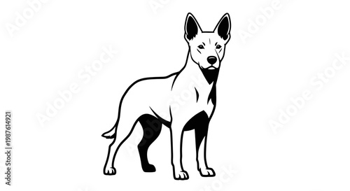 Protective Domestic Dog Standing Guard Powerful Clean Vector Silhouette. transparent.