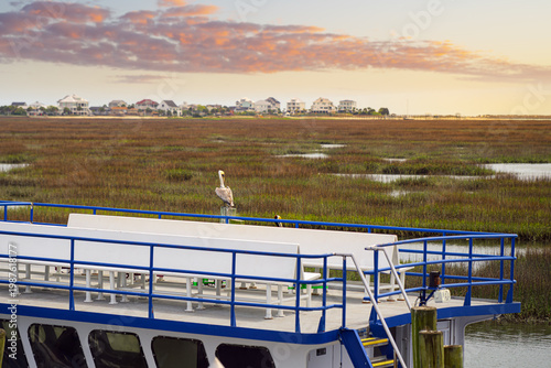 A brown pelican sits on a wooden pier at the coastal marshlands of the Murrells Inlet Marshwalk, with residential homes in the distance, Murrells Inlet, South Carolina.