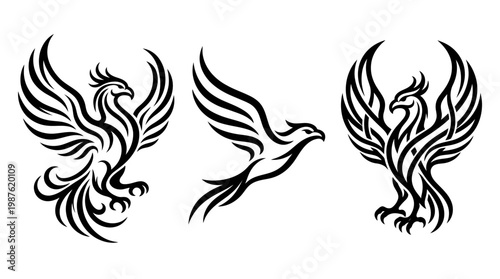 Elegant Black Phoenix Bird Set on White