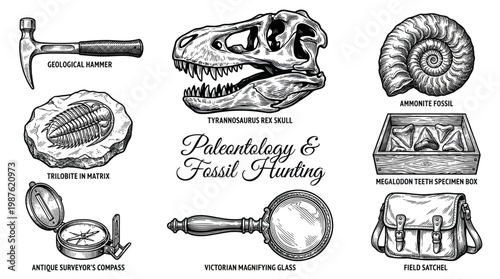 Vintage Paleontology and Fossil Hunting Set with Dinosaur Skull, Ancient Shells, and Archaeological Tools in Hand-Drawn Woodcut Style