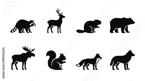 Wild Animal Silhouettes Forest Creatures Collection