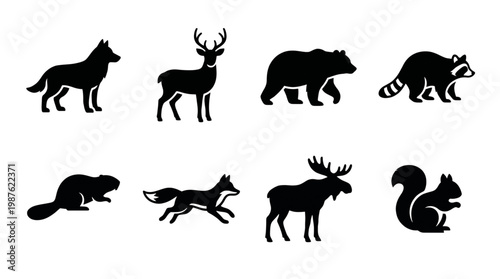 Wild Animals Silhouettes Collection Forest Creatures Outline Icons