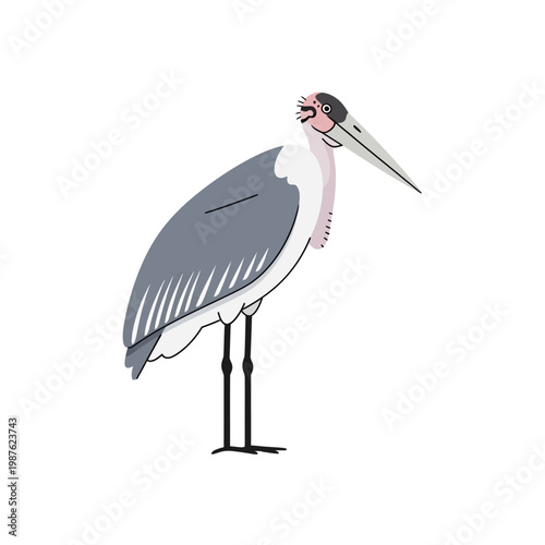 Minimalist vector illustration of a Marabou Stork bird in grey, white, and black, against a clean white background