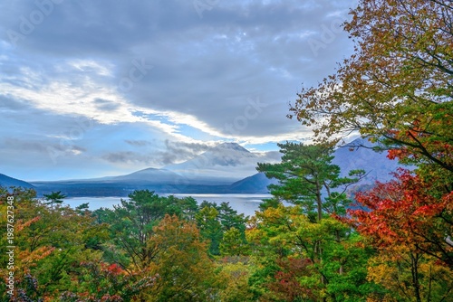 展望台から紅葉越しに見た晩秋の本栖湖と富士山のコラボ情景
