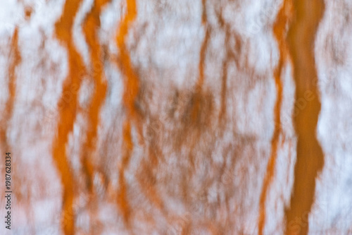 Impressionistic close-up of tree trunks reflected in a river.