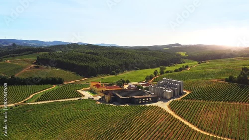 Aerial drone shot of scenic winery surrounded by vast green vineyards and rolling hills under blue sky during bright sunny day