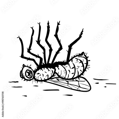 Drawing sketch style illustration of a dead fly on its back struggling to go upright upside down on isolated background done in black and white line art.
