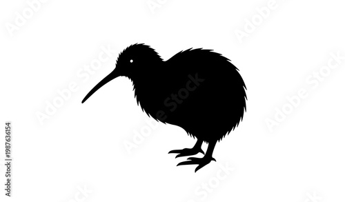 Kiwi bird vector silhouette with fluffy body and long beak for wildlife illustrations