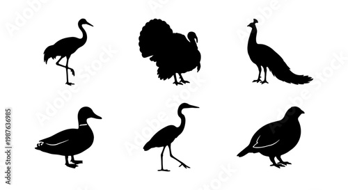 Silhouette bird vector art featuring crane turkey peacock duck heron and partridge wildlife image