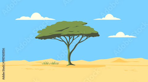 A simple illustration of an acacia tree in the African savanna with clouds and sand dunes