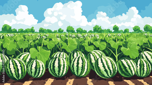 A vibrant field of ripe watermelons basks under a bright blue sky dotted with puffy clouds