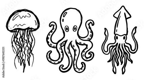 Marine life illustrations jellyfish octopus squid
