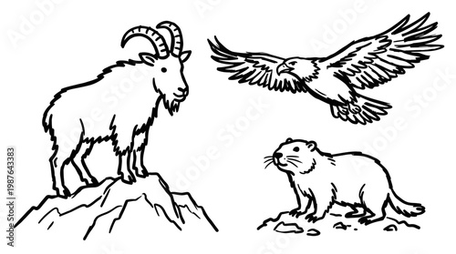 Motorcycle wheel and tire components illustration