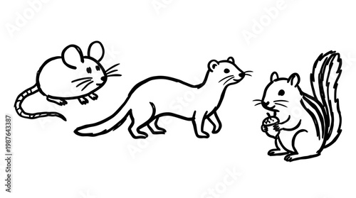 Motorcycle wheel and tire collection isolated on white