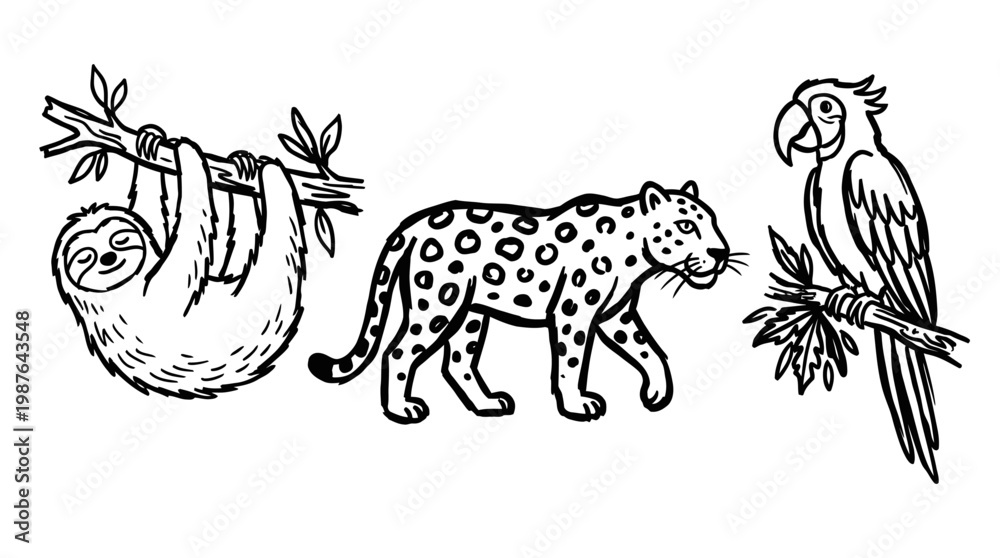 Fototapeta premium Wildlife animals jaguar sloth parrot branch illustration