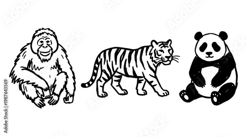 Wildlife animals orangutan tiger panda illustration
