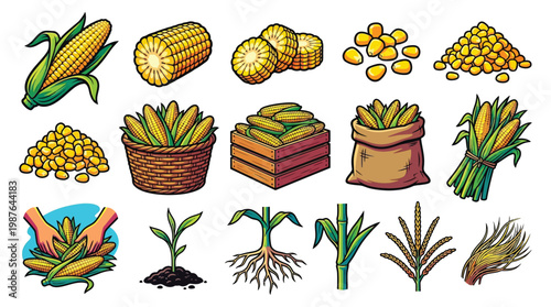 A vibrant collection of illustrations showcasing various stages and forms of corn, from fresh ears and kernels to seedlings and harvested crops.