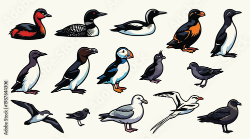 A diverse collection of seabirds, including puffins, guillemots, and gulls, depicted in a clear, illustrative style against a neutral background.