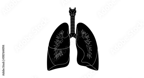 Human Lungs Anatomy Vector Illustration Silhouette