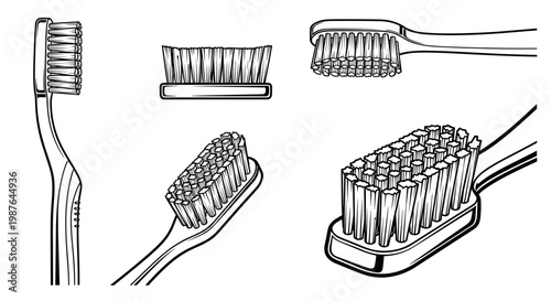 A set of toothbrushes in various styles and angles, depicted in a simple line art illustration