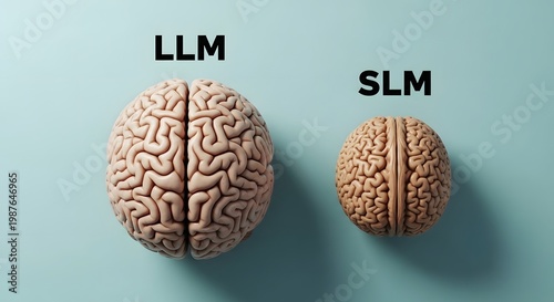 Llm vs slm comparing large and small language model brain sizes capabilities