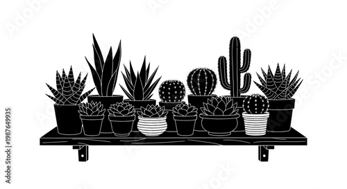 Black Silhouette Vector of Cacti and Succulents on a Wooden Shelf