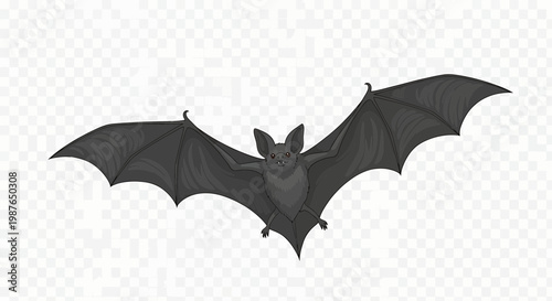 Flying Bat Vector Illustration Isolated on Transparent Background