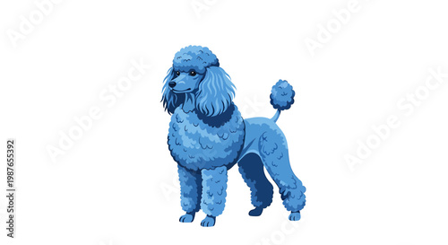 Stylized Blue Poodle Vector Illustration Isolated on White