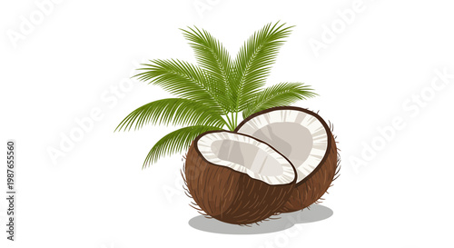 Fresh Halved Coconut and Tropical Palm Leaves Vector Illustration
