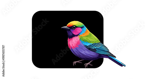 Colorful Bird Vector Illustration on Black Background