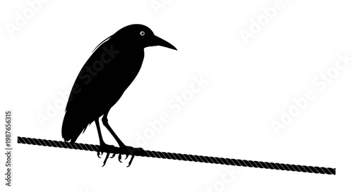 Black silhouette of a bird perched on a rope vector illustration