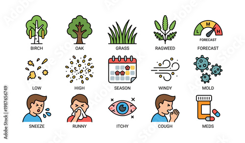Allergy season symbols and symptoms with weather forecast and medication indicators