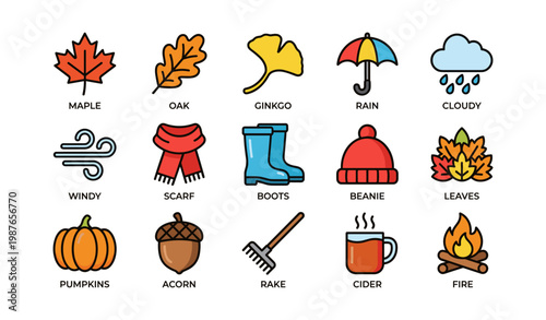 Autumn symbols: leaves, weather icons, and seasonal items in vector design