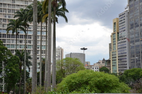 Downtown São Paulo Skyline with Palm Trees and Urban Park – Brazil Cityscape