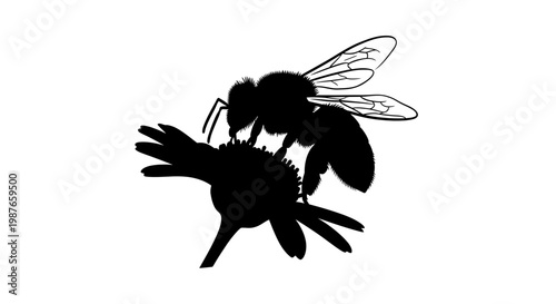 Bee Silhouette on Flower Vector Illustration