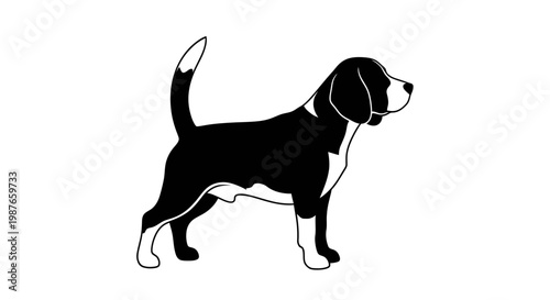 Beagle Dog Standing Profile Black and White Vector Illustration